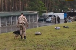 Під Києвом службові собаки змагаються за право представляти Україну на міжнародних змаганнях