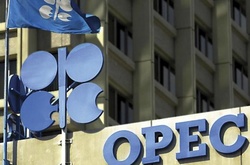 ОПЕК може обрати нового генсека вже наступного тижня, - ЗМІ