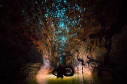 Фотограф снял звездное небо из светлячков в новозеландской пещере