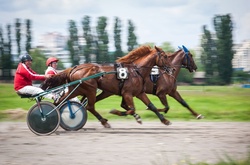 На столичному іподромі відкрили новий біговий сезон
