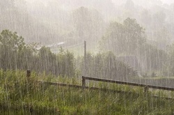 Синоптики кажуть, що червень буде дощовим