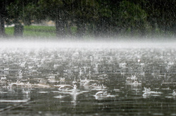 Останній день весни буде з дощами та грозами