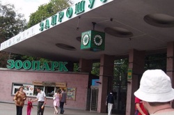 Столичний зоопарк проведе благодійну акцію у дитячій лікарні