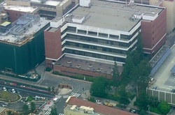 Застрелені у Лос-Анжелесі виявились самогубцями