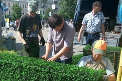 На Бессарабці з'явилася зелена огорожа