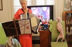 Нова зірка Youtube: собака, що танцює під акомпанемент