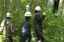 Покарання по-японськи: хлопчик, залишений батьками в лісі, знайдений через тиждень