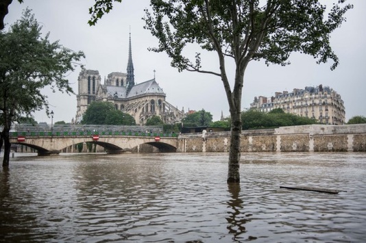 У Парижі через повінь для туристів закрили Лувр 