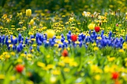 У суботу в Україні припиняться дощі 