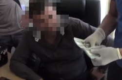 Розбазарюванням державних земель промишляв голова сільради на Київщини