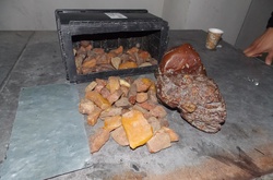 На кордоні з Польщею вилучено дороговартісну партію бурштину