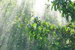 У неділю очікуються короткочасні дощі