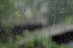 В Україні очікуються зливи 