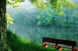 На початку тижня в Україні буде тепло, але дощитиме  