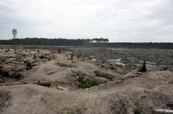 Нелегальним видобутком бурштину займаються близько 10 тисяч осіб, - Семерак