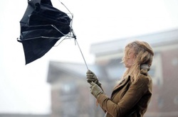 У Києві та області очікується поривчастий вітер