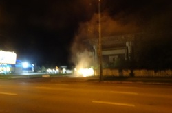 Зоозахисники підпалили рекламу дельфінарію