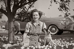 Причудливые ретро фотографии из коллекции Стива Гивена