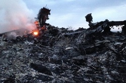 ЗМІ: Слідство у справі MH17 хоче вилучити матеріали приватного розслідування