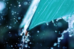 Синоптики обіцяють у четвер дощі з грозами