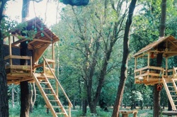 На Трухановому острові відкривають кафе на деревах