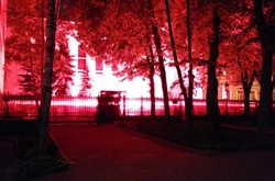 Під час нападу на посольство України в Москві ніхто із співробітників не постраждав