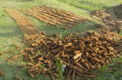 В парку на Сумщині знайдено 2 тисячі боєприпасів часів війни 