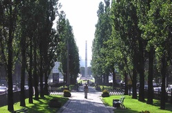 На центральних вулицях столиці закривається рух автотранспорту