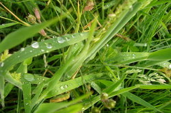 На початку тижня в Україні буде ще прохолодно   