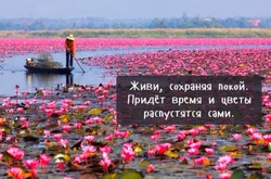 Китайские философы: Перестаньте искать себя и начните притворяться 