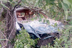 У ДТП на Донеччині загинув голова району