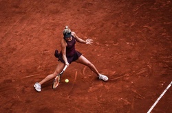 Рейтинг WTA. Світоліна піднялася на 18-у сходинку, Козлова увійшла в топ-100