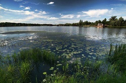 У середу в Україні збережеться дощова погода 