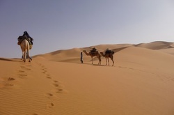 У нігерійській пустелі виявили тіла 34 мігрантів