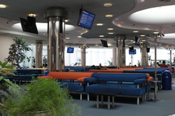 В «Борисполі» підтвердили інформацію про виліт до Ліона чартерного рейсу з нардепами
