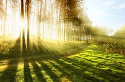 В Україну йде тепло із Середземномор’я   