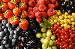 Вживання ягід гальмує процес старіння організму – лікар-дієтолог