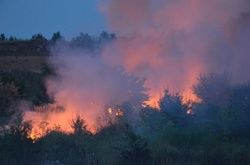 У Миколаєві масштабна пожежа на сміттєзвалищі