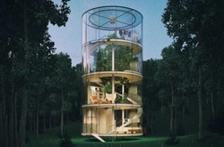 Архитектор из Казахстана разработал невероятный дом с деревом внутри!