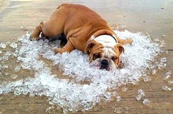 Сьогодні киян очікує суха та спекотна погода