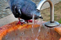 Синоптики попереджають про високий рівень пожежної небезпеки