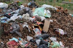 Кияни перетворили пляж на смітник