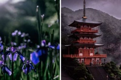 Невероятные фотографии Японии в сезон дождей