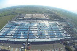 На одеському ринку «7-й кілометр» відбуваються обшуки – ЗМІ