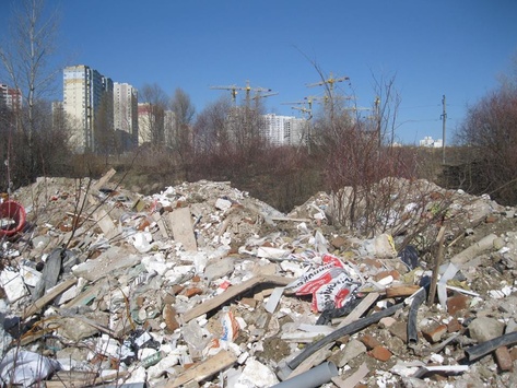 У Києві поряд з житловими будинками облаштували стихійне звалище