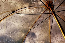 В Україні завтра утримається спека, але на заході пройдуть грозові дощі