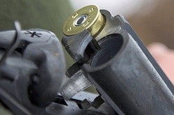 На Київщині чоловік застрелив рідного брата