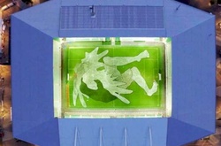 Во Франции создали гигантский рисунок на поверхности футбольного поля