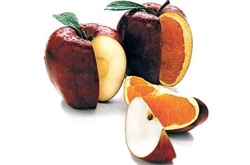 Как выглядят овощи и фрукты без ГМО