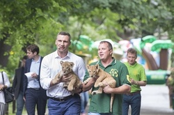 Кличко презентував концепцію оновлення Київського зоопарку